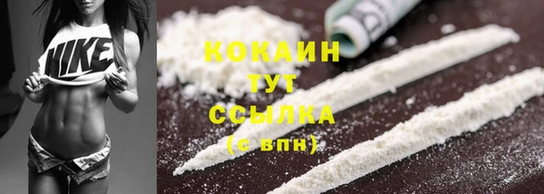 крисы Инсар