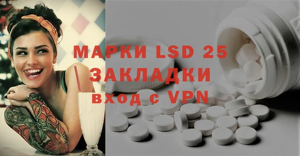 PSILOCYBIN Иннополис