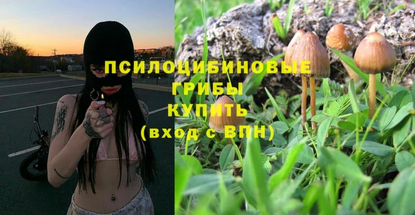 крисы Инсар