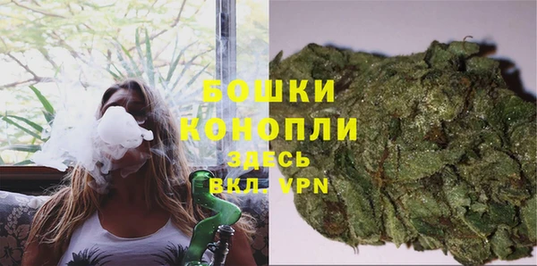 крисы Инсар