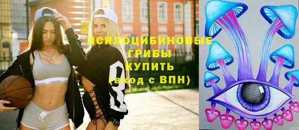 прущие грибы Каменка