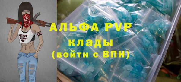 крисы Инсар