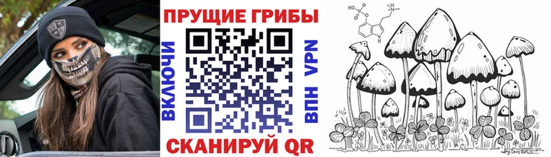 Псилоцибиновые грибы ЛСД  Купить  Знаменск 